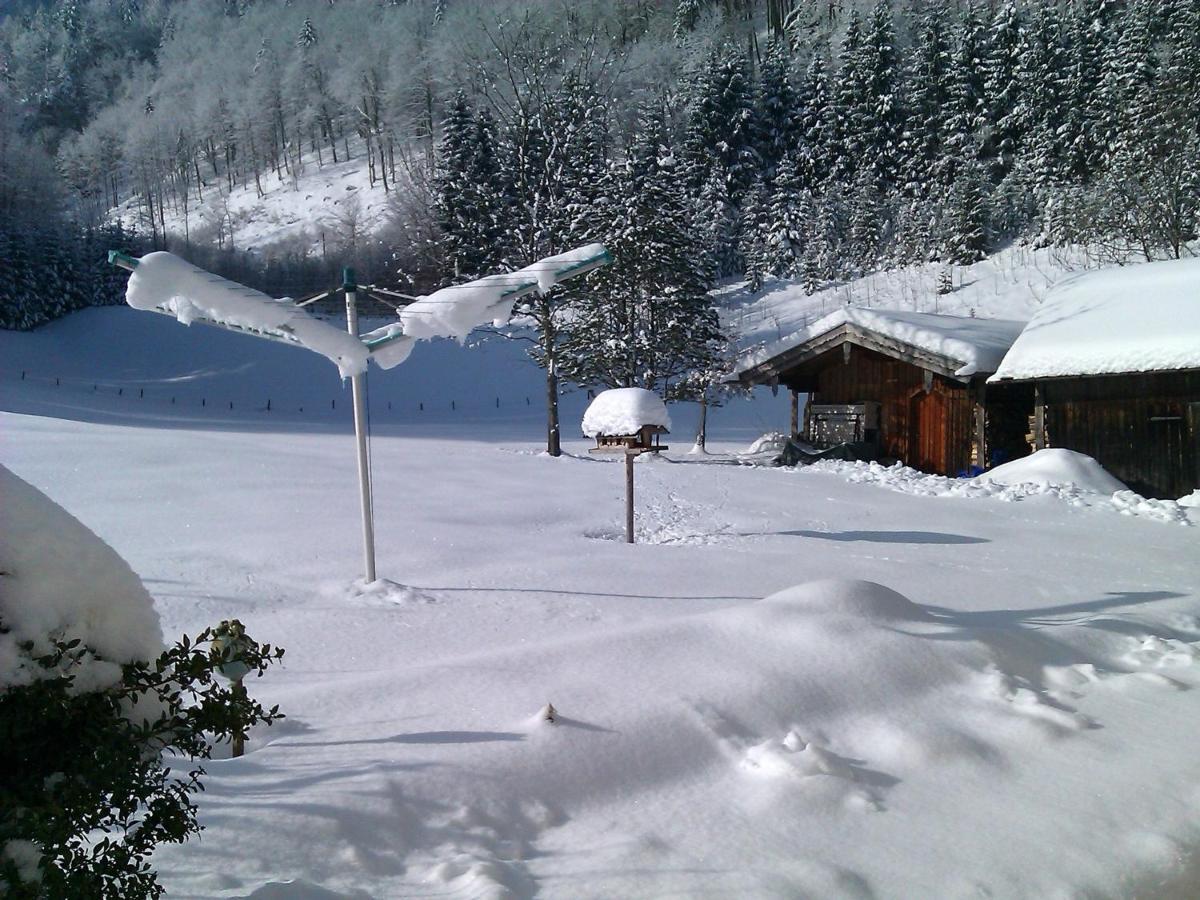 Ferienwohnung Haus Wiesler Aschau im Chiemgau Bagian luar foto